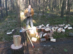 Holz schlagen